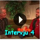 Intervju 4
